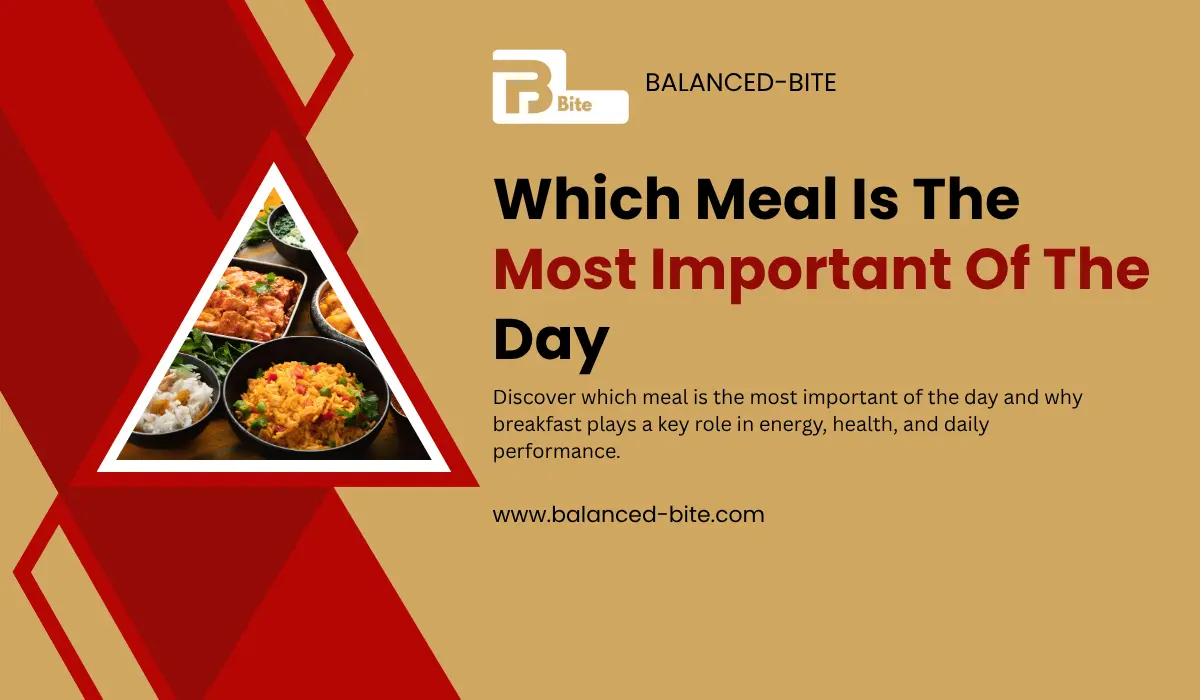  Which Meal Is the Most Important of the Day: Top